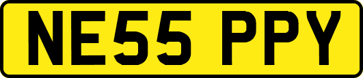 NE55PPY