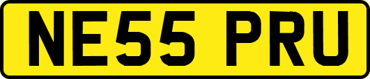 NE55PRU