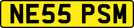 NE55PSM