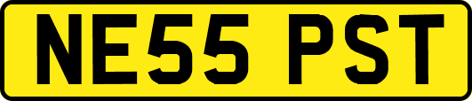 NE55PST