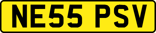 NE55PSV