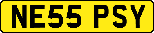 NE55PSY
