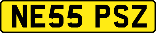 NE55PSZ