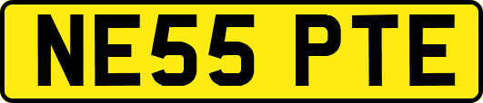 NE55PTE
