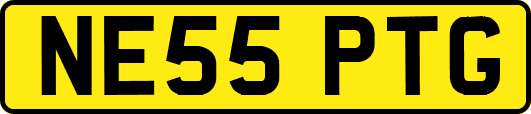 NE55PTG