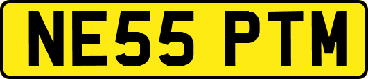 NE55PTM