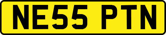 NE55PTN