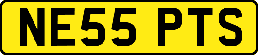 NE55PTS