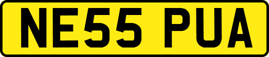 NE55PUA