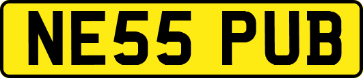 NE55PUB