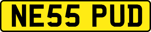 NE55PUD