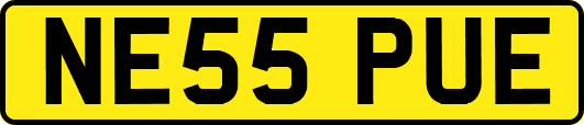 NE55PUE