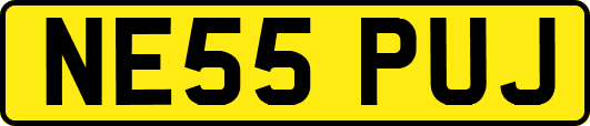NE55PUJ