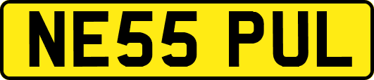 NE55PUL