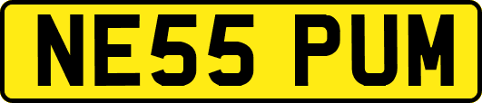 NE55PUM
