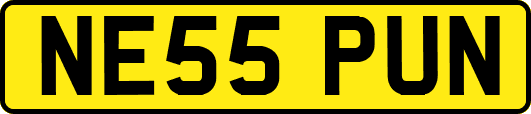 NE55PUN