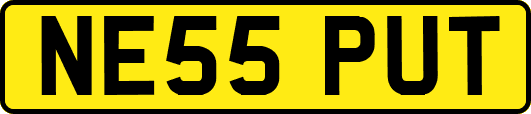 NE55PUT