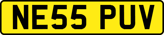 NE55PUV