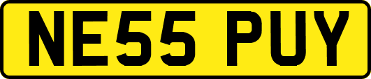 NE55PUY