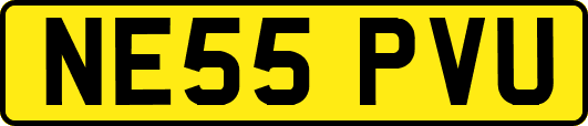 NE55PVU