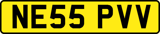 NE55PVV