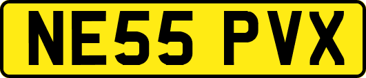 NE55PVX