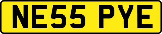 NE55PYE