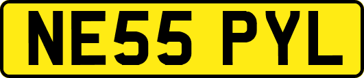 NE55PYL