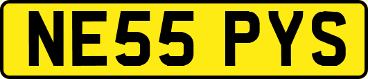 NE55PYS