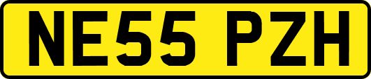 NE55PZH