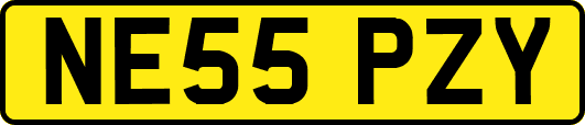 NE55PZY