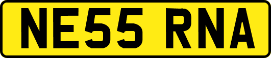 NE55RNA