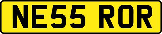 NE55ROR
