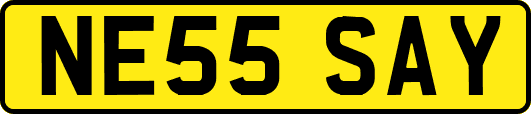 NE55SAY