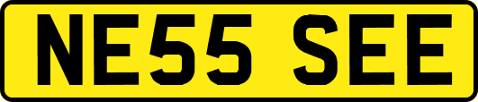 NE55SEE