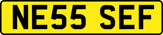 NE55SEF