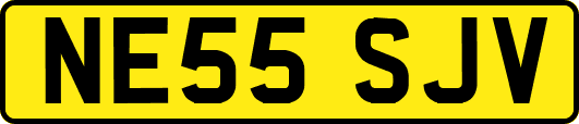 NE55SJV