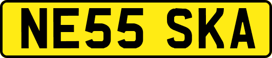 NE55SKA