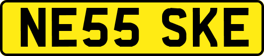 NE55SKE