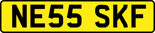 NE55SKF