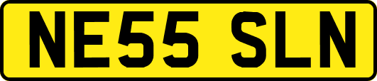 NE55SLN