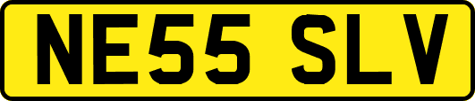 NE55SLV