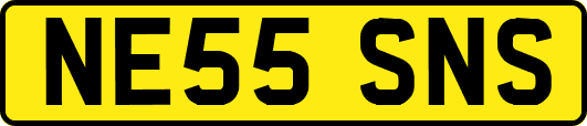 NE55SNS