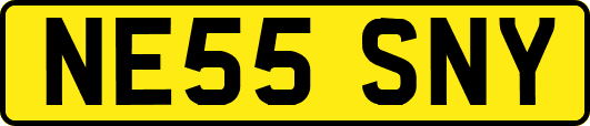 NE55SNY