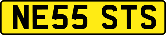NE55STS