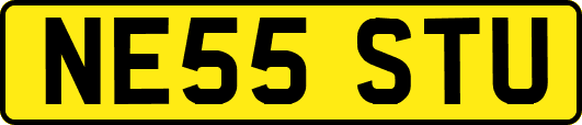 NE55STU