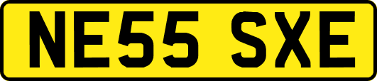 NE55SXE