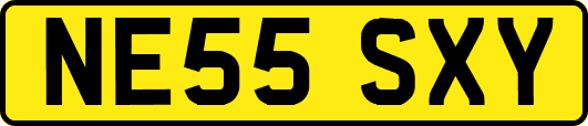 NE55SXY