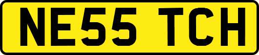 NE55TCH