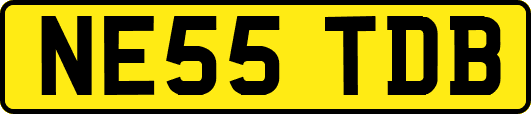 NE55TDB